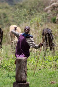 This Masai boy is showing a group of New Zealand boys how to throw a spear. 